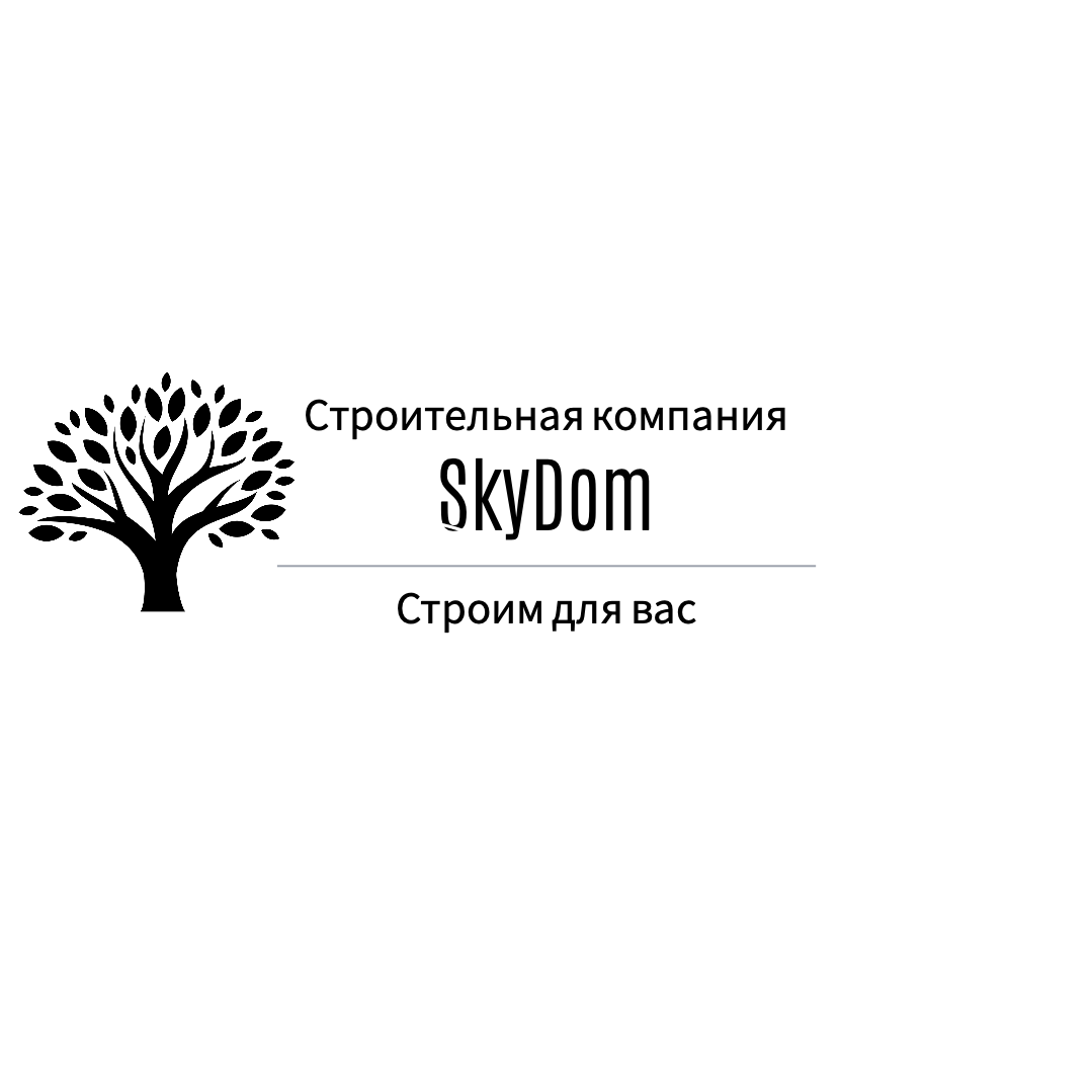 логотип компании SkyDom